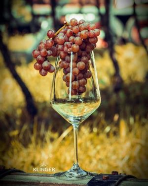 Chardonnay "Pizpor" 2022 2