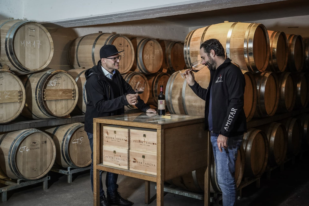 Cabernet Franc "Amistar" 2024 2