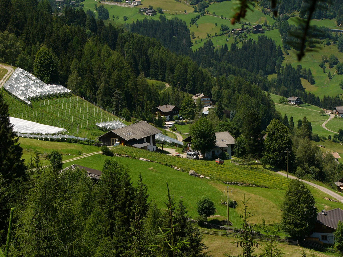 Schmiedhof 1
