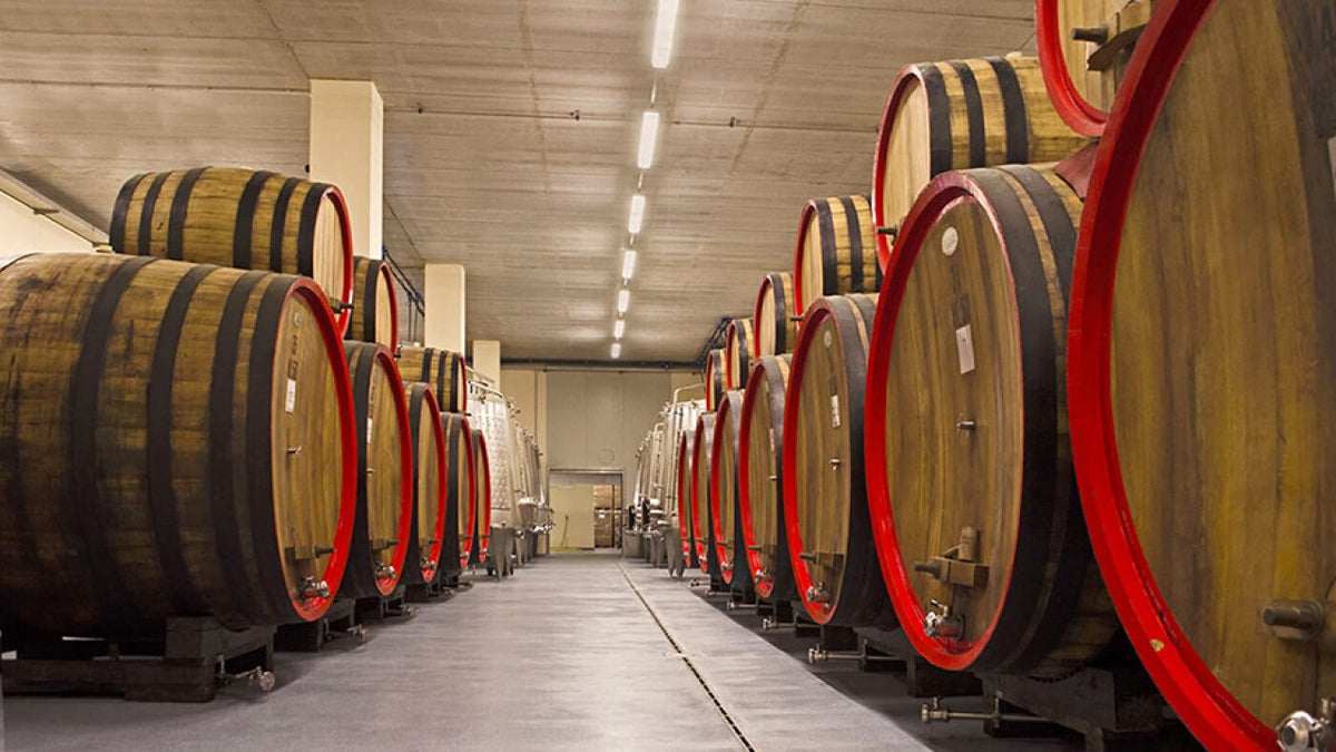 Amarone della Valpolicella Classico 2016 2