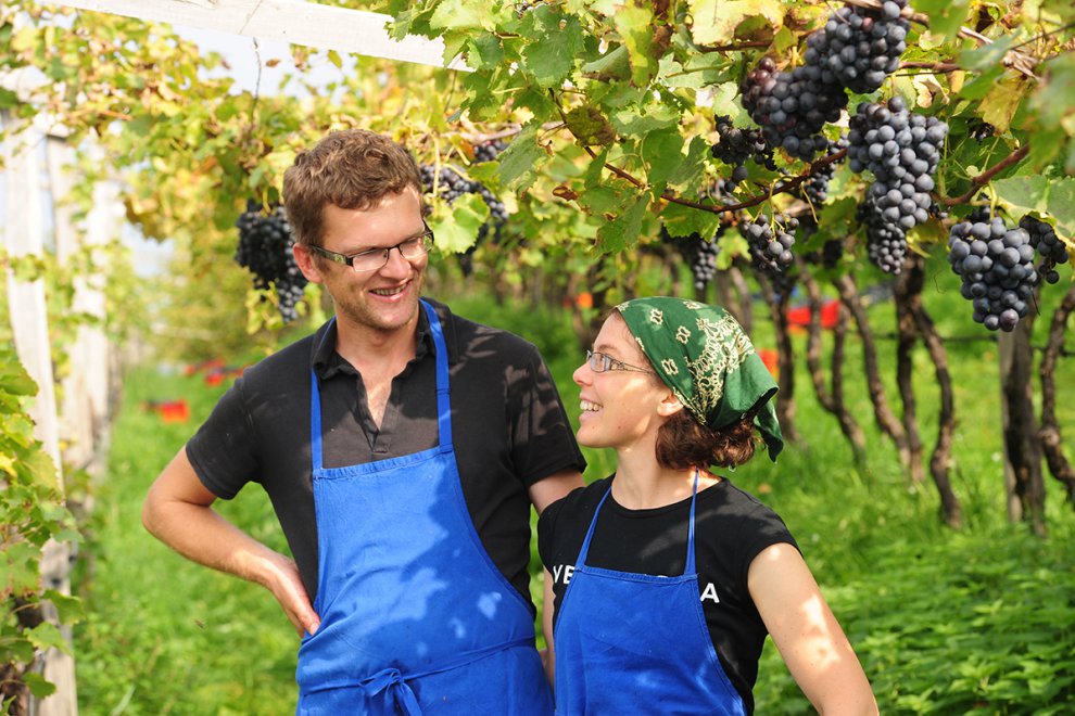 Weingut Abraham 1