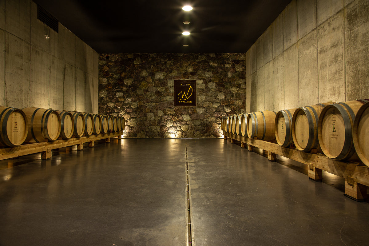 Chardonnay "Seppelaia" 2023 2