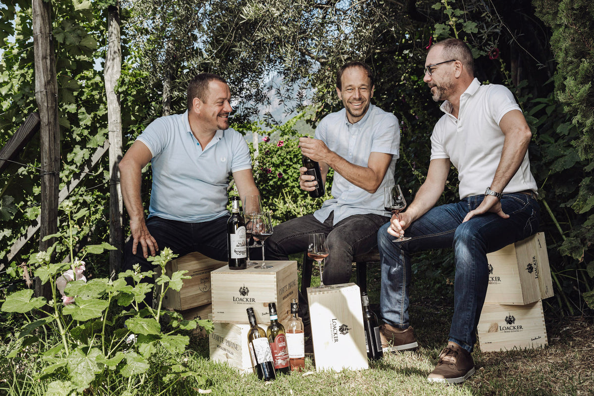 Syrah "Lodolaia Valdifalco" Bio 2023 2