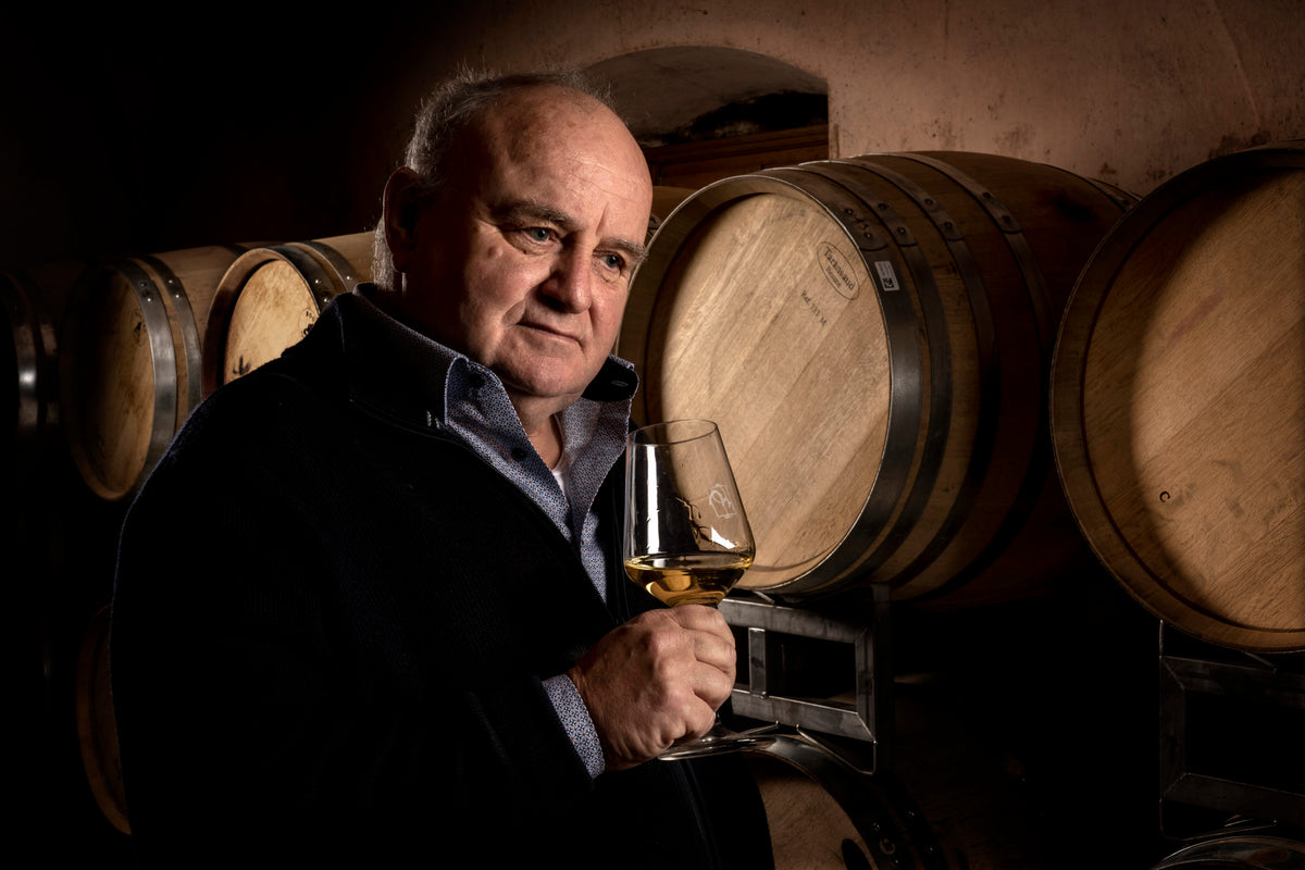Sauvignon "Voglar" 2022 2