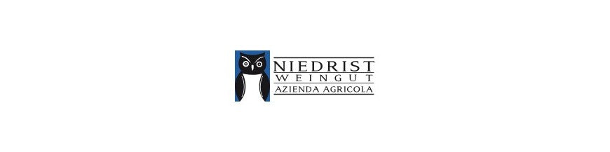 Weingut Ignaz Niedrist Logo