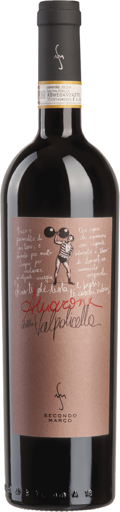 Amarone della Valpolicella Classico 2013 1