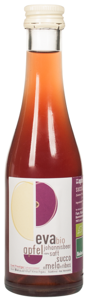 Apfel - Johannisbeersaft Bio 1