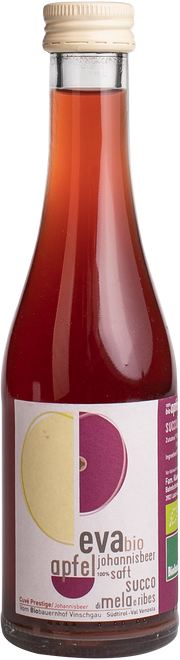 Apfel - Johannisbeersaft Bio 1
