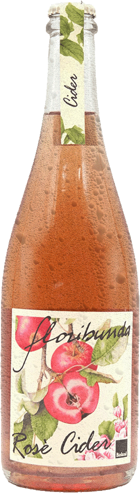 Apfelcider Rose "Floribunda" Bio 1