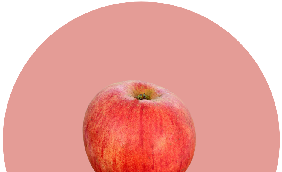 Bergapfelsaft Gravensteiner 2