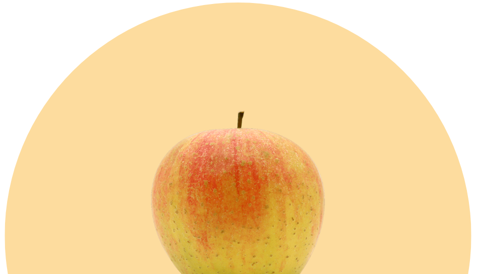 Bergapfelsaft Rubinette 2