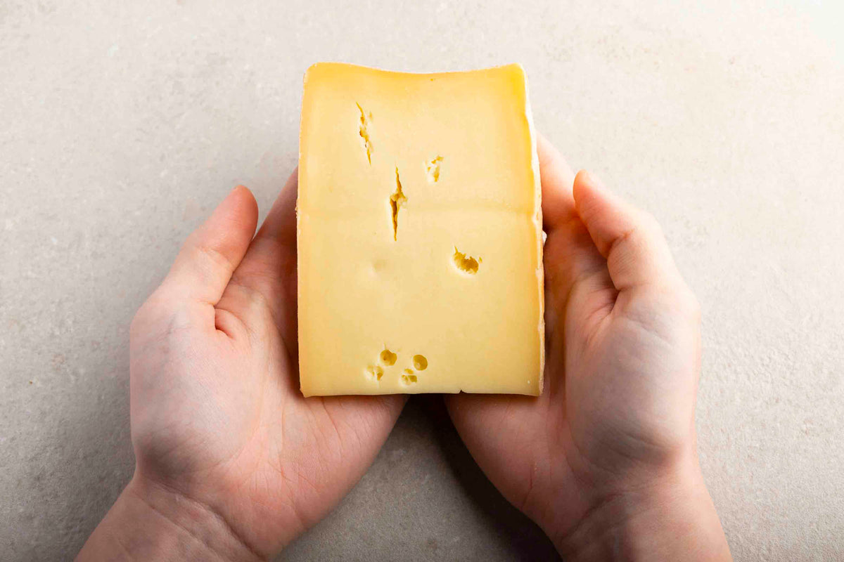 Bergkäse Bio des Hauses 2