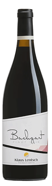 Blauburgunder Bachgart 2021 1