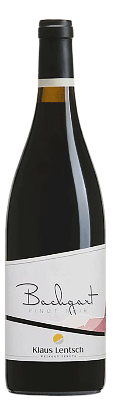 Blauburgunder Bachgart 2021 1