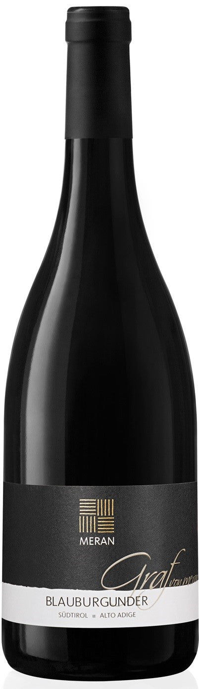 Blauburgunder "Graf" 2023 1