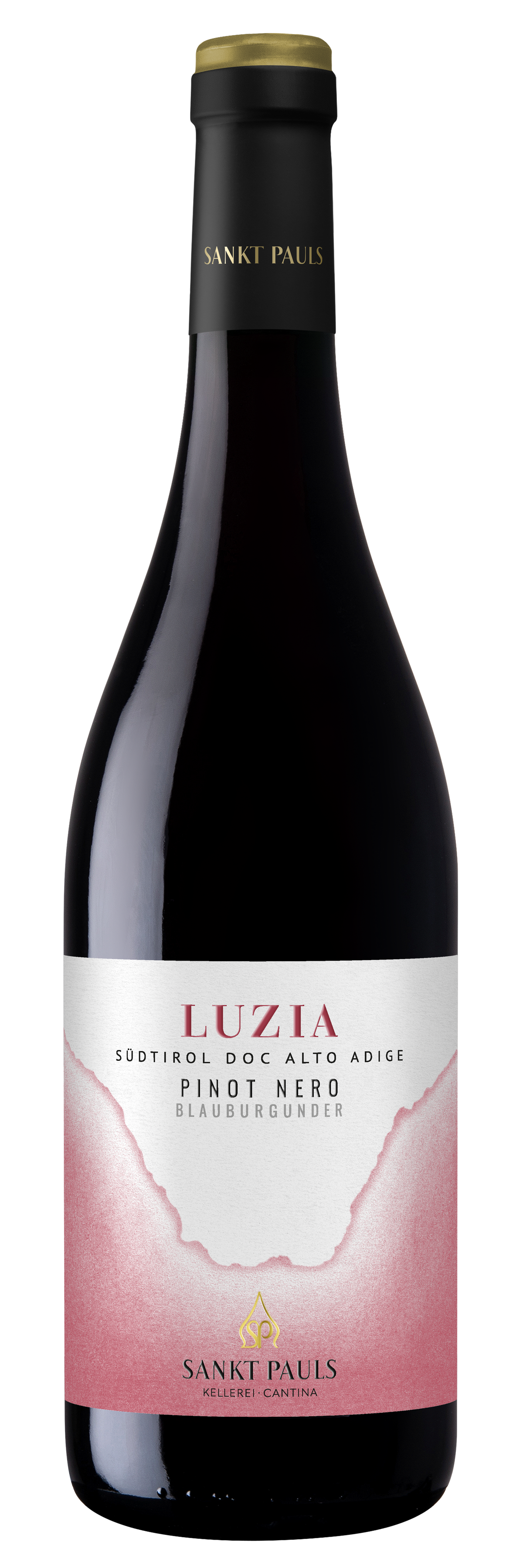 Blauburgunder "Luzia" 2025 1
