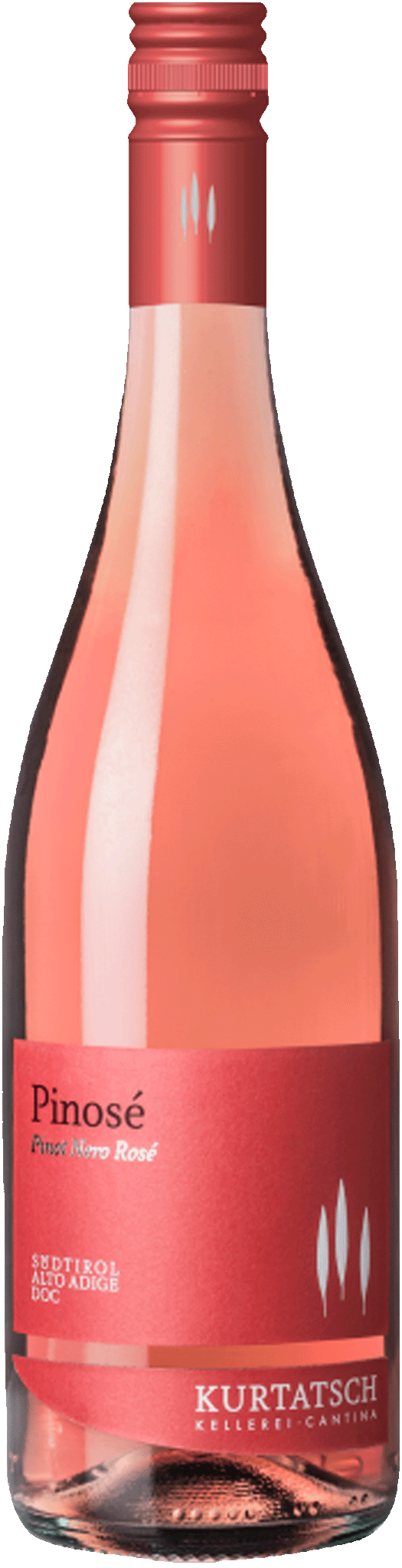 Blauburgunder Rosé "Pinosé" 2026 1