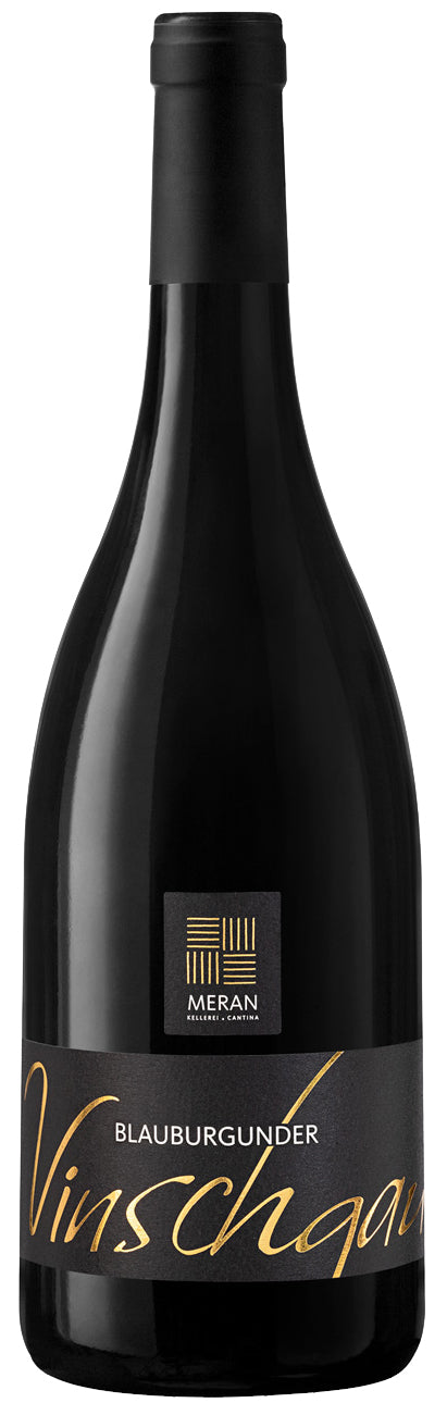 Blauburgunder "Vinschgau" 2023 1