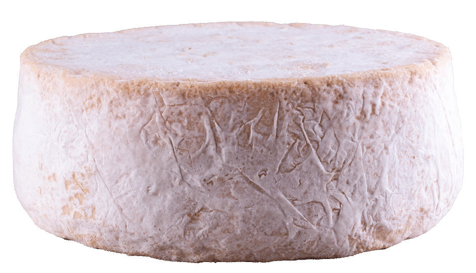 Blauschimmelkäse Trada Bio 2