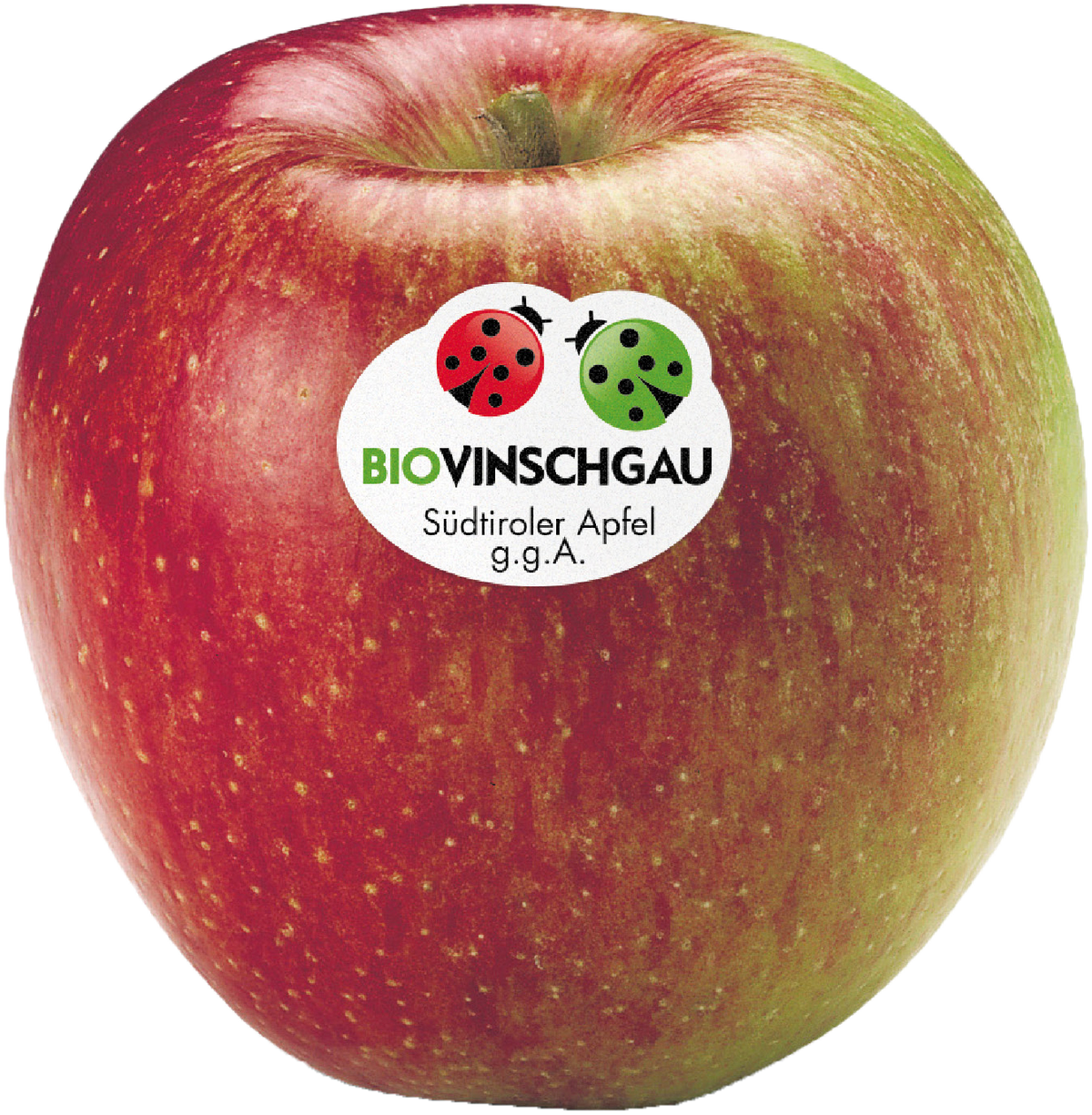 Braeburn Apfelkiste Bio 1