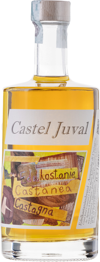 Brand Kastanie "Castanea" 1