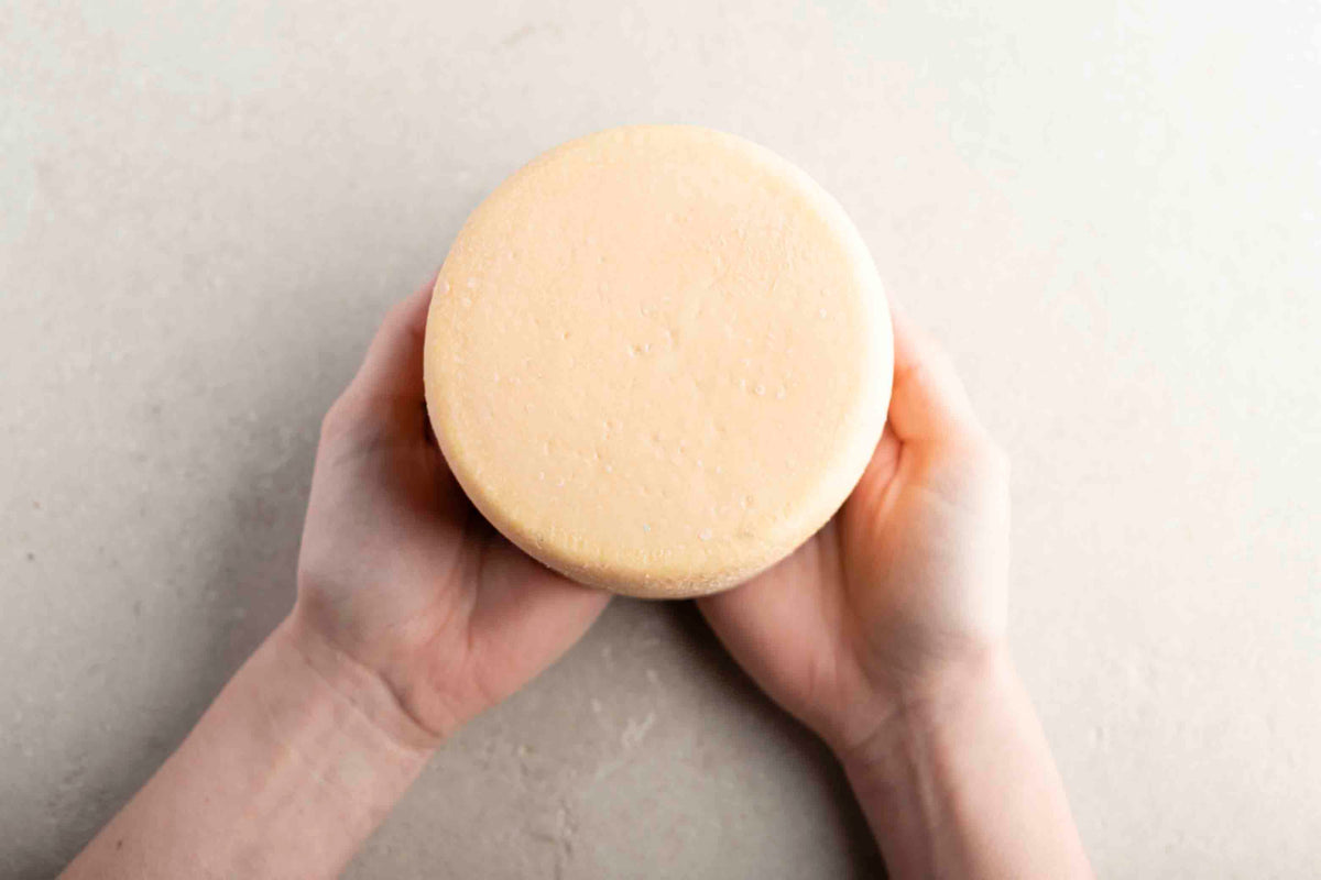 Butterkäse 2