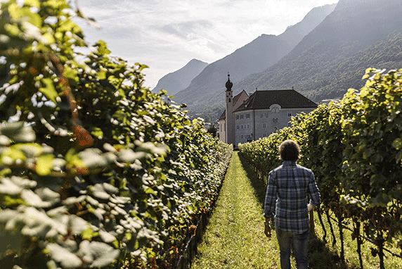 Kalterersee Auslese klassisch "Bischofsleiten" 2024 2