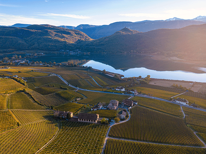 Kalterersee Auslese klassisch "Bischofsleiten" 2024 4