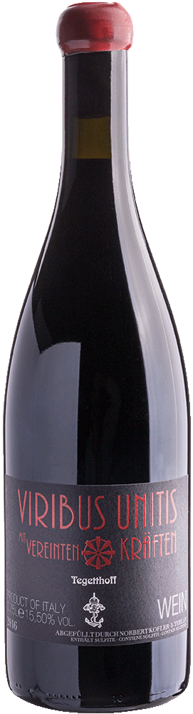 Cuvée Rot „Viribus Unitis“ 2019 1
