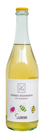 Cuvée Weiß "Summ" Bio 2022 1