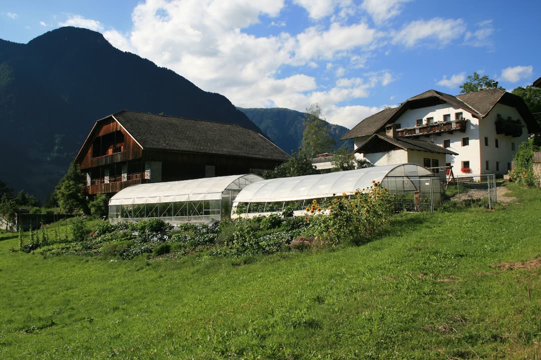 Felderhof  1