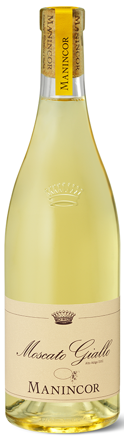 Goldmuskateller Bio 2024 1