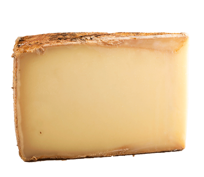 Hartkäse "Kasus Caverna" 1