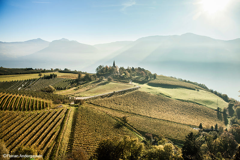 Pur Suedtirol Schweiz