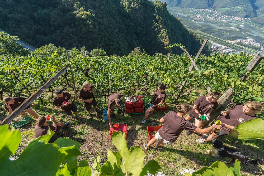 Merlot Riserva "Siebeneich" 2023 4
