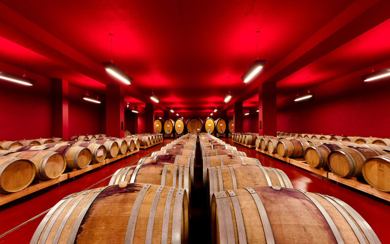 Pinot Grigio 2025 3