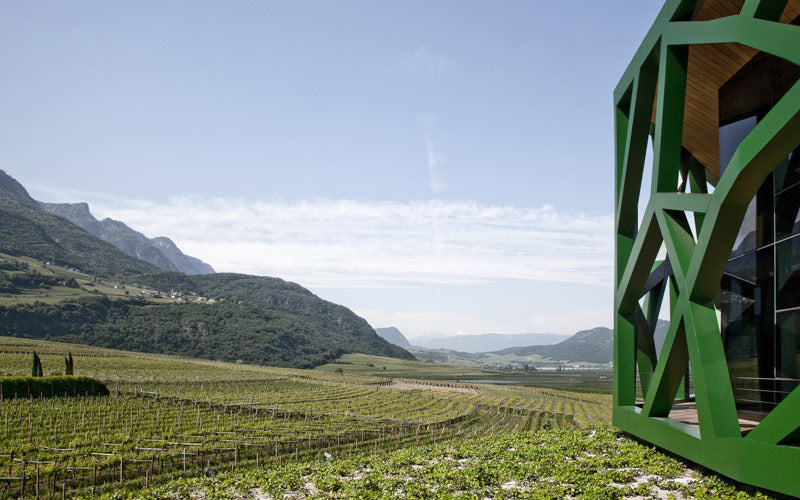 Pinot Grigio 2025 4