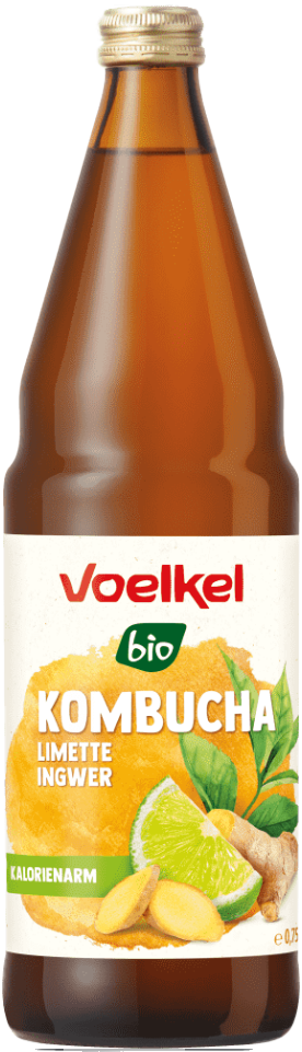 Kombucha Limette und Ingwer Bio 1