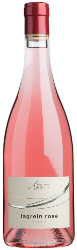 Lagrein Rosé   2025 1