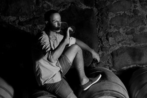Sauvignon „Schalenstein“ 2023 3