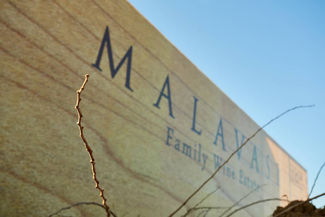 Malavasi 2