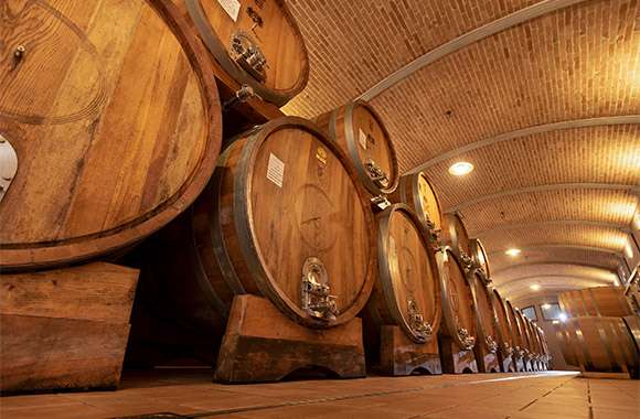 Barolo  2021 3