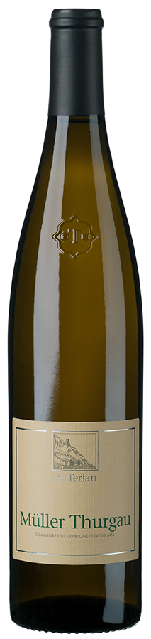 Müller-Thurgau 2023 1
