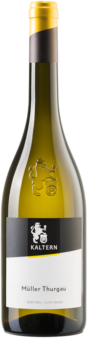Müller Thurgau 2025 1