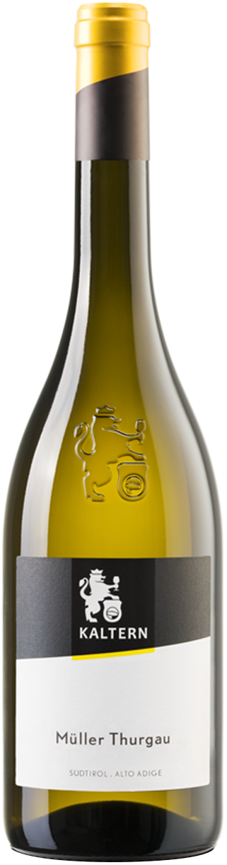 Müller Thurgau 2025 1