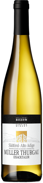 Müller Thurgau 2025 1