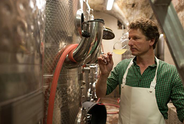 Grüner Veltliner 2023 3