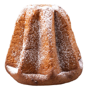 Pandoro 1