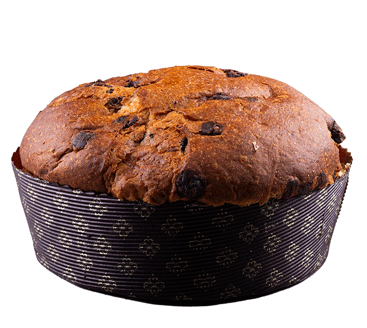 Panettone mit Schokolade Bio 1