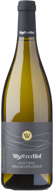 Pinot Grigio 2023 1